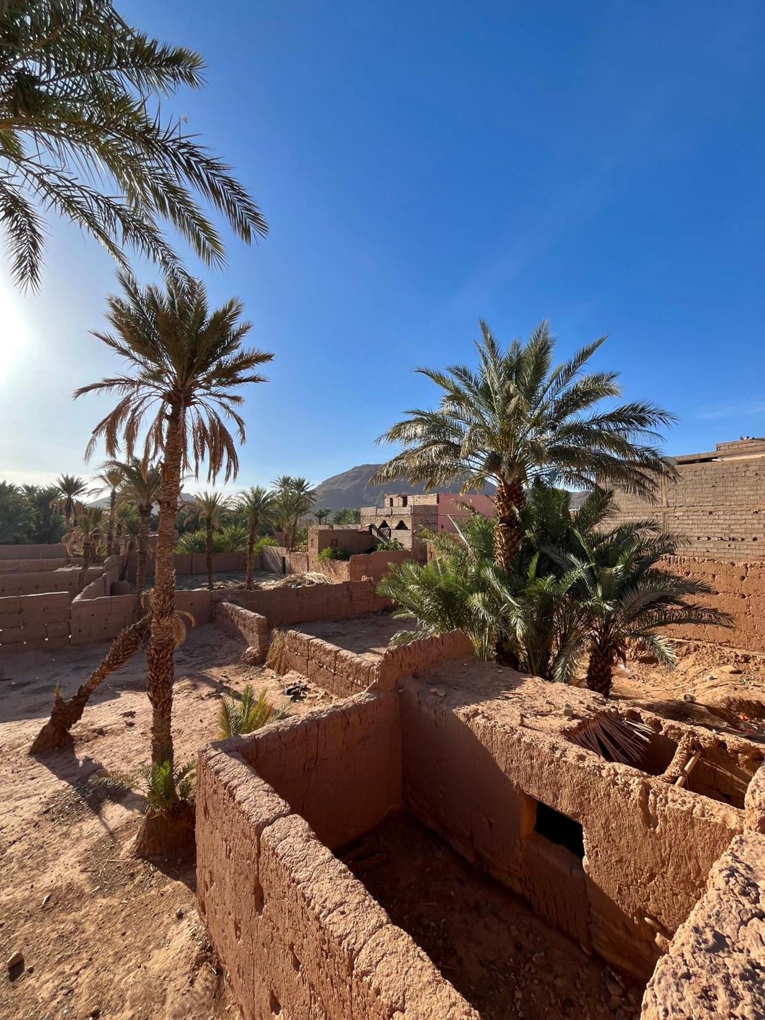 Dar Toda - Zagora Guest House Eksteriør billede